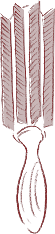 ブラシのイラスト
